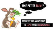 alimentation lapin