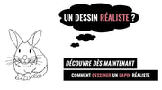dessin de lapin realiste