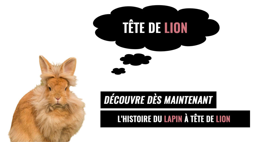 Le Lapin à Tête de Lion
