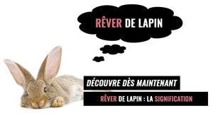 Rêver de Lapin : Signification