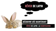 rever de lapin