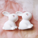 Lapin Lumineux Veilleuse