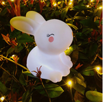 Lapin Lumineux Veilleuse