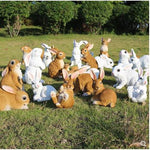 Sculptures de Lapins
