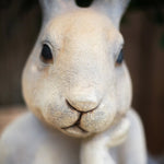 Sculpture Tête Lapin
