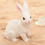 Tirelire Lapin Vintage