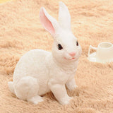 Tirelire Lapin Vintage