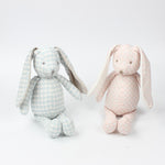 Doudou Lapin Garçon