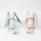 Doudou Lapin Garçon