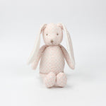 Doudou Lapin Garçon