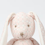 Doudou Lapin Garçon