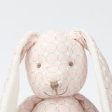 Doudou Lapin Garçon