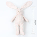 Doudou Lapin Garçon