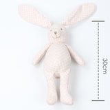 Doudou Lapin Garçon