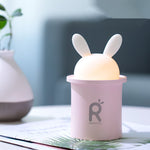 Déco Lapin Lampe