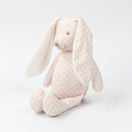 Doudou Lapin Garçon