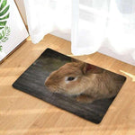 lapin brun tapis