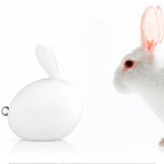 Veilleuse Led Lapin