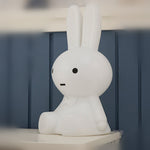 Veilleuse Lapin 50 CM