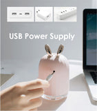 Veilleuse Lapin USB