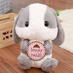 Lapin Câlin Peluche