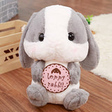 Lapin Câlin Peluche