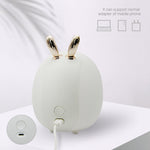 Lapin Veilleuse