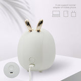 Lapin Veilleuse