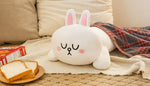 Coussin Lapin Endormi