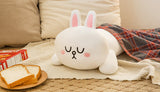 Coussin Lapin Endormi