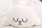 Coussin Lapin Endormi