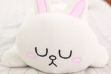 Coussin Lapin Endormi