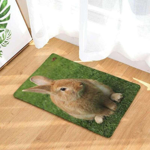 tapis lapin brun